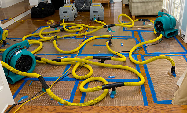 Professional Structural Drying And Dehumidification technician working in Thompson, UT